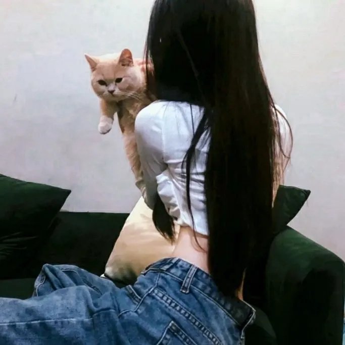 灿烂吧！情色时代 在线观看