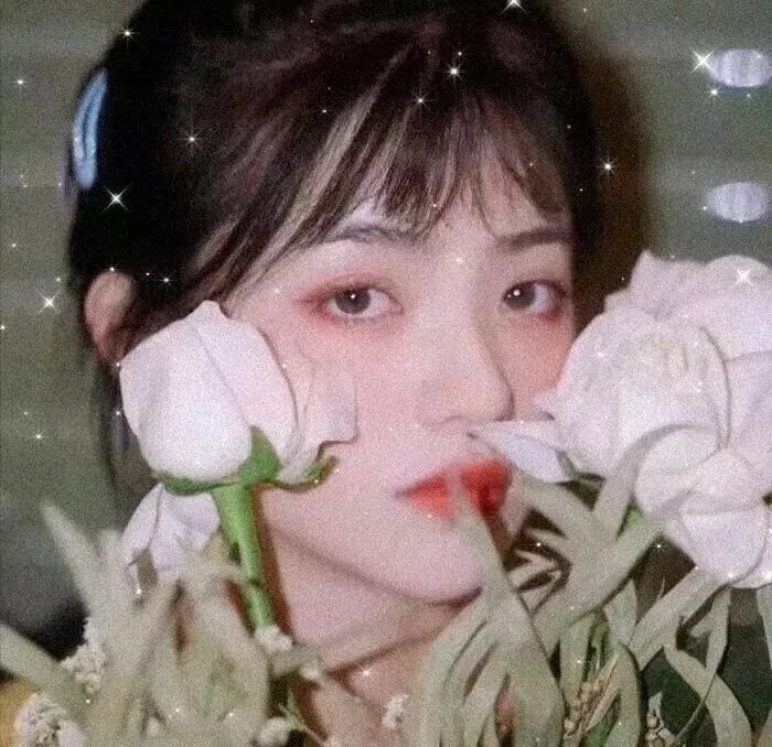 血玉咒 在线观看